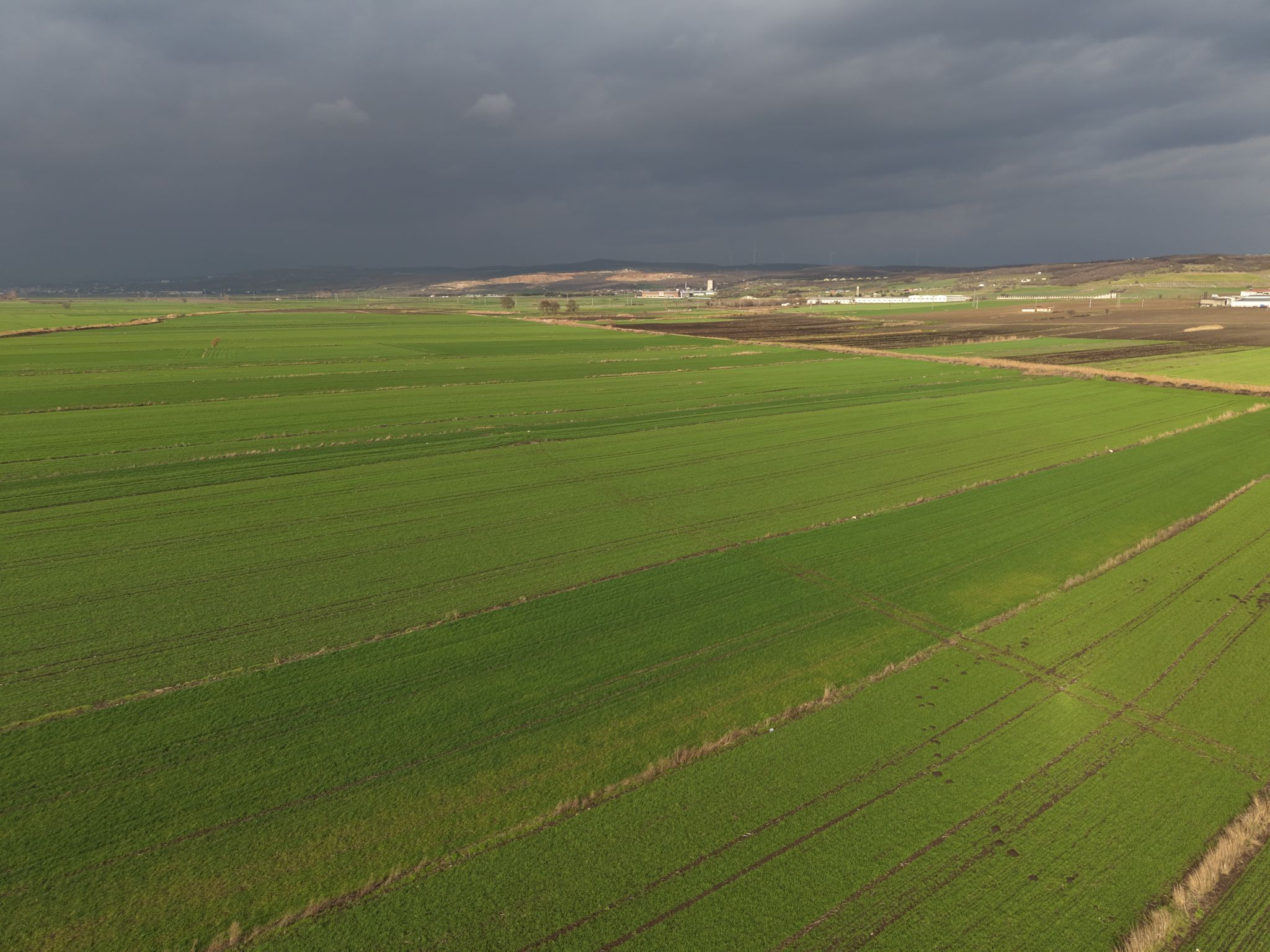 KIRKLARELİ VİZE EVRENLİ SATILIK TARLA - VAR Gayrimenkul