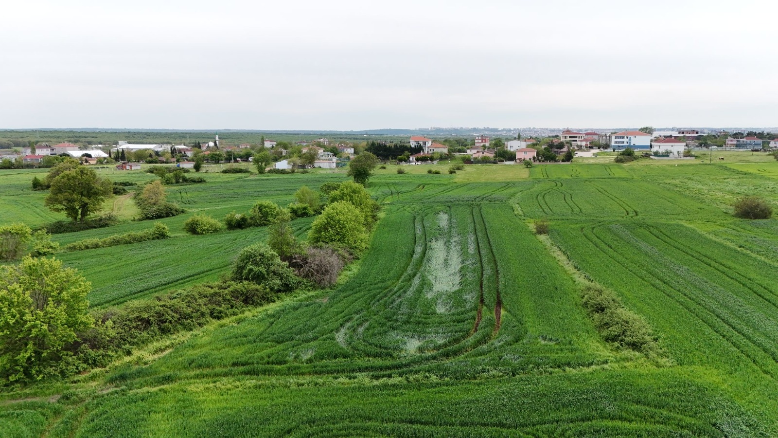 KAPAKLI PINARÇA SATILIK TARLA - VAR Gayrimenkul
