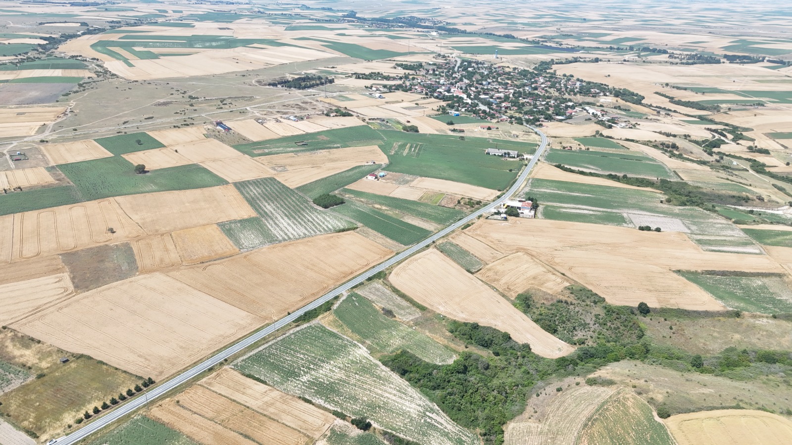 TEKİRDAĞ SARAY SİNANLI SATILIK TARLA - VAR Gayrimenkul