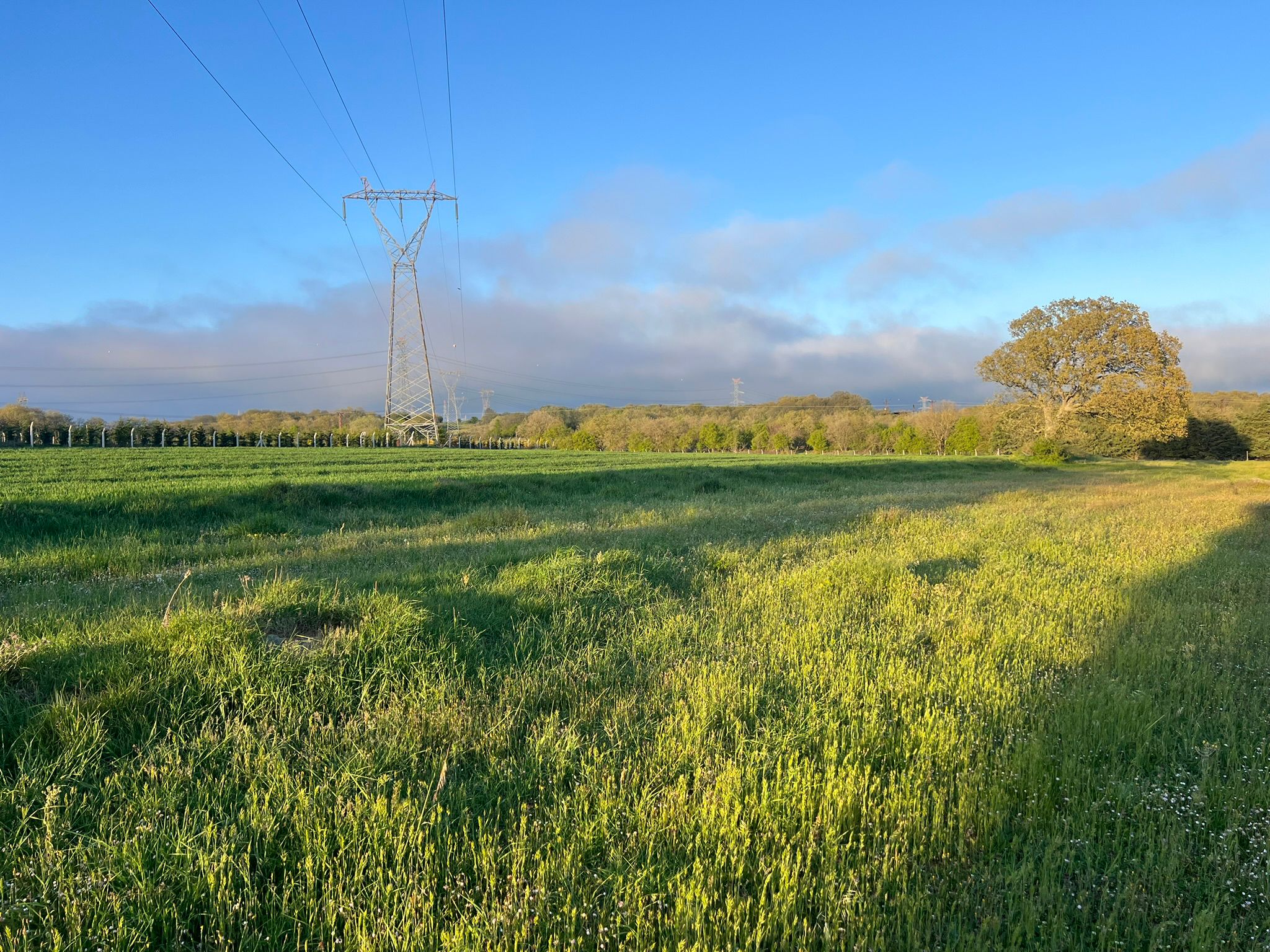 SARAY AYVACIK SATILIK TARLA - VAR Gayrimenkul