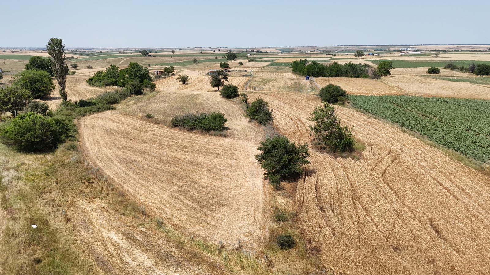 SARAY YUVALI SATILIK BAĞ YERİ - VAR Gayrimenkul
